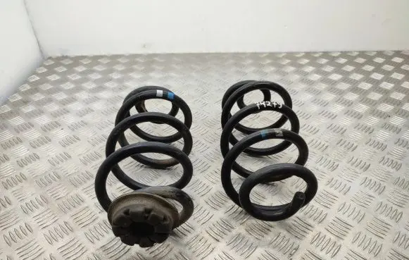 Nissan Qashqai Rear coil spring