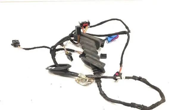 Front door wiring loom