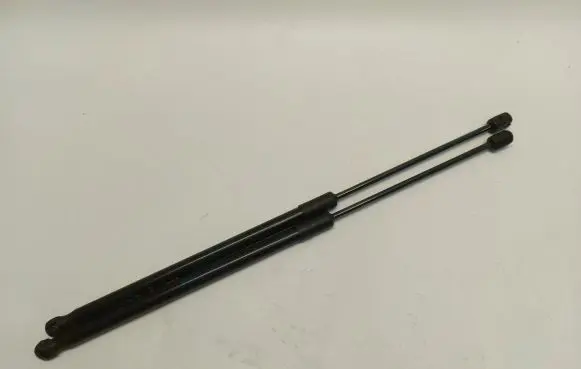 Tailgate strut