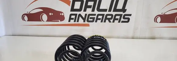 Rear coil spring