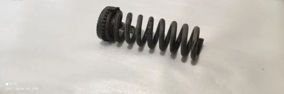 Dodge Challenger Rear coil spring 05181369AF