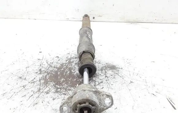 Citroen C4 I Rear shock absorber/damper