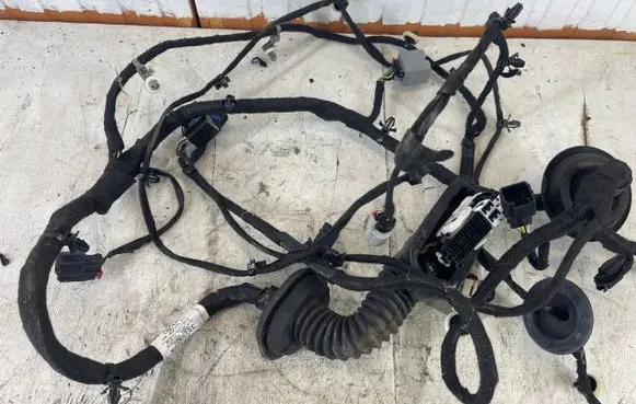 Front door wiring loom