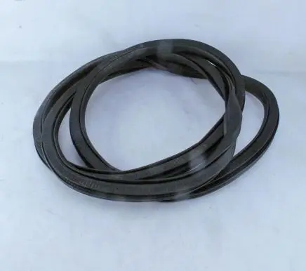 Ford Kuga III Rear door rubber seal (on body) LJ6BS253A10A