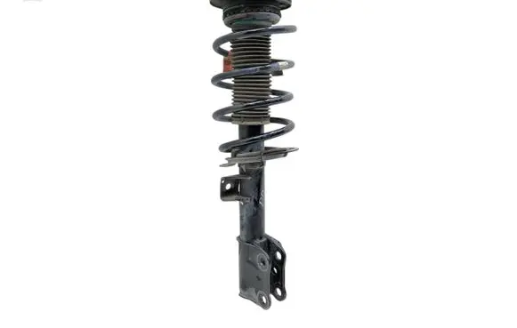 Front shock absorber with coil spring