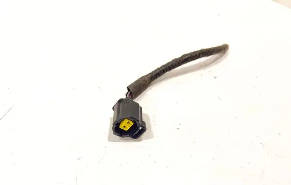 Dodge Durango III Other wiring loom PBTGF15