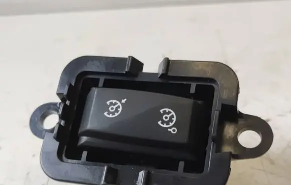 Renault Megane III Cruise control switch 1015009001