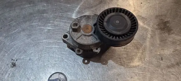 BMW 5 E39 Air conditioning tensioner F226008