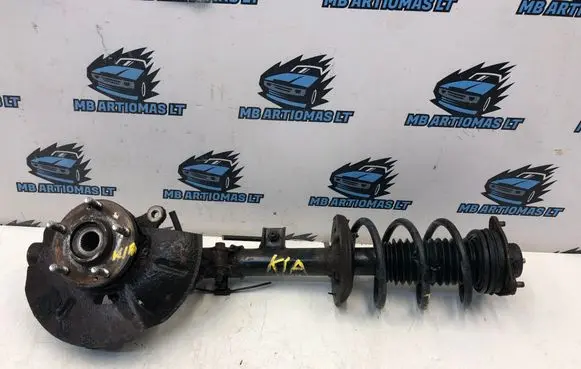 Front shock absorber with coil spring