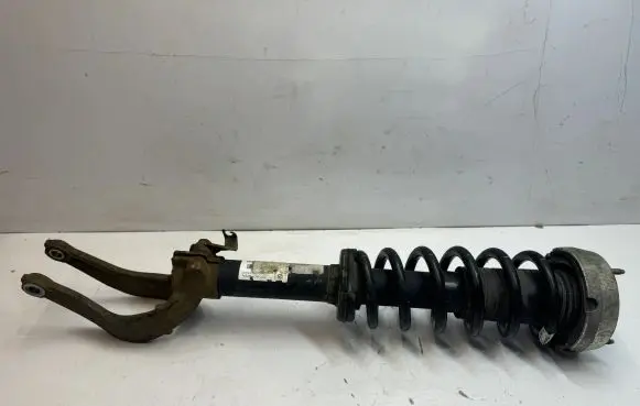 BMW X5 E70 Front shock absorber/damper 678191801