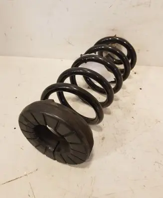 Rear coil spring