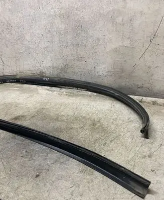Dacia Sandero II Front door rubber seal
