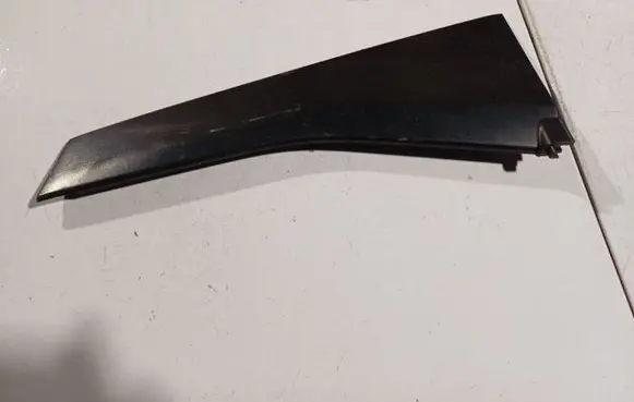 Other rear door trim element