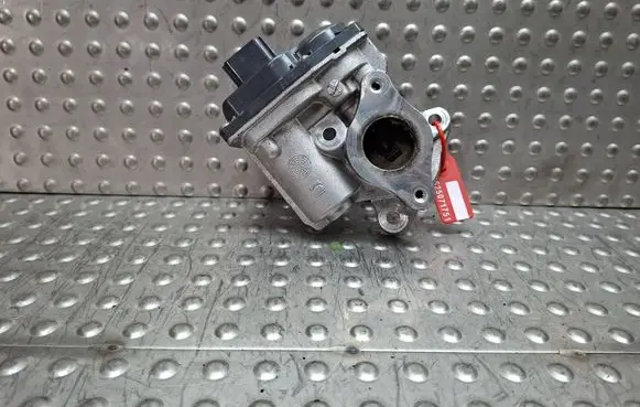EGR valve