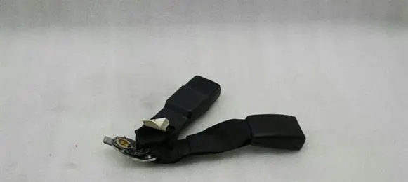 Chrysler 300C Rear seatbelt buckle 1HZ141X9AD