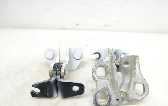 Tesla Model 3 Rear door hinge set 