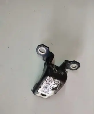 Renault Laguna III Rear door lower hinge 