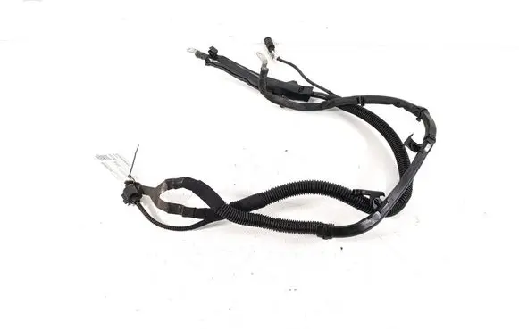 Other wiring loom