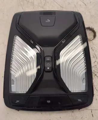 BMW 4 G22 G23 G24 G26 Front seat light 5A5A537