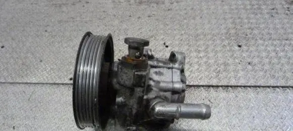 Volkswagen Golf IV Power steering pump 1J0422154 76919555234