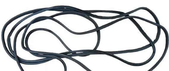 Infiniti Q50 Front door rubber seal 4GA0A