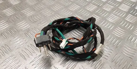 Tesla Model S Other wiring loom 100603300B