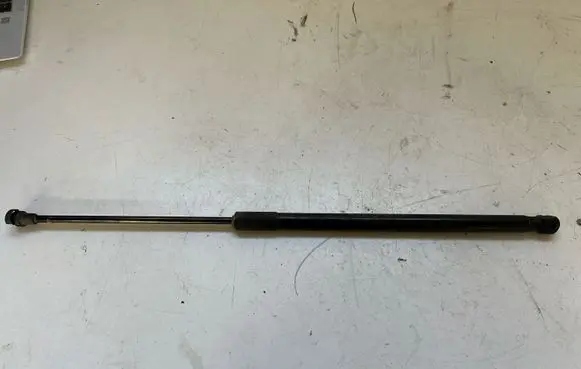 Tailgate/trunk strut/damper