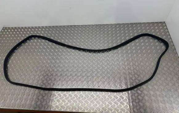 Ford B-MAX Front door rubber seal 