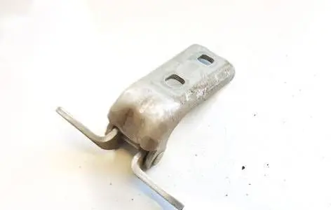 Rear door lower hinge