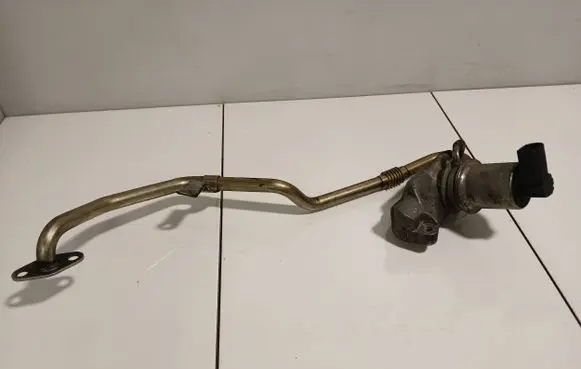 Volkswagen Polo IV 9N3 EGR valve 036131816