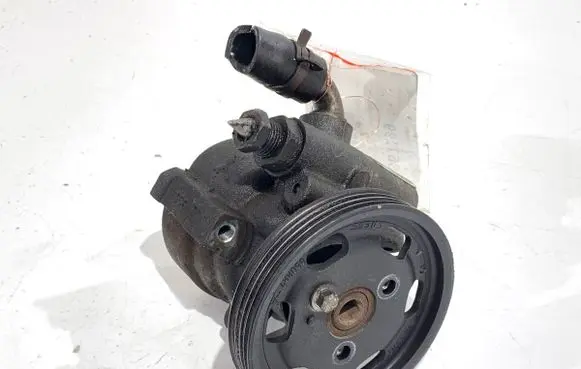 Renault Thalia II Power steering pump 491102028R