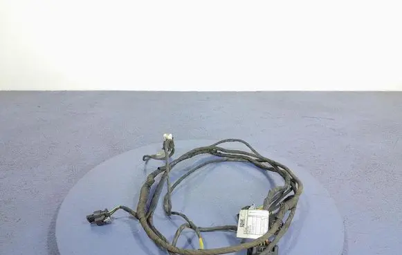 Audi A4 S4 B7 8E 8H Other wiring loom 8736403