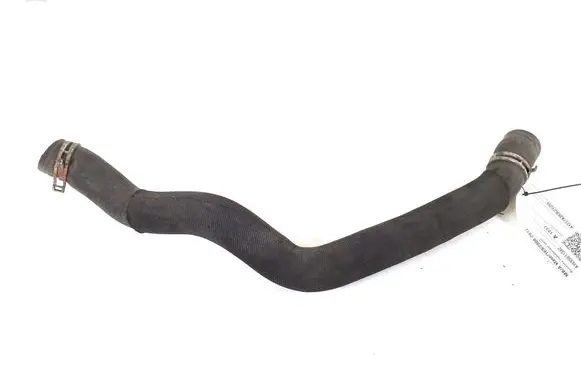 Mercedes-Benz A W169 Engine coolant pipe/hose A1695011382