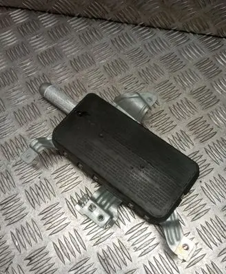 Front door airbag