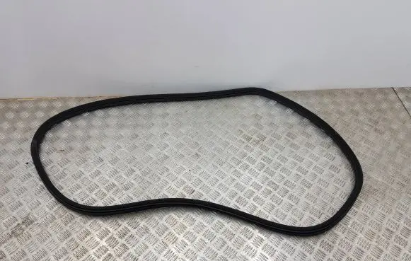 Citroen DS5 Rear door rubber seal (on body) 