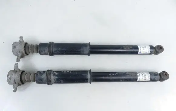 Peugeot 307 Rear shock absorber/damper 315167