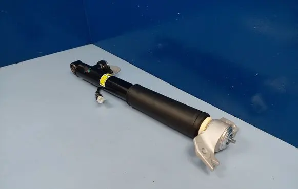 Opel Insignia A Rear shock absorber/damper 436854 22834094 A436854