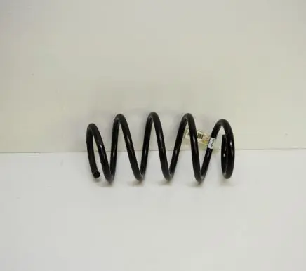 Front coil spring