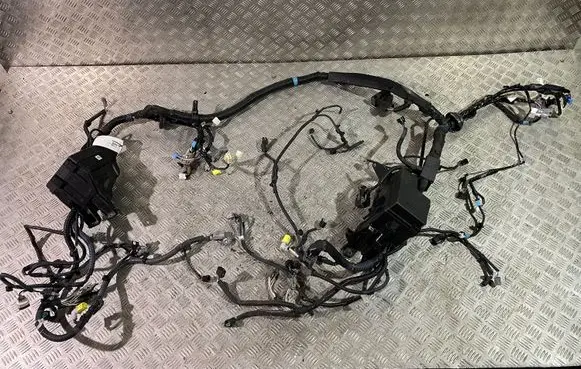 Toyota RAV 4 (XA50) Engine installation wiring loom