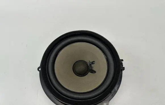 Ford Mustang VII Rear door speaker DS7T18808BB 26265146