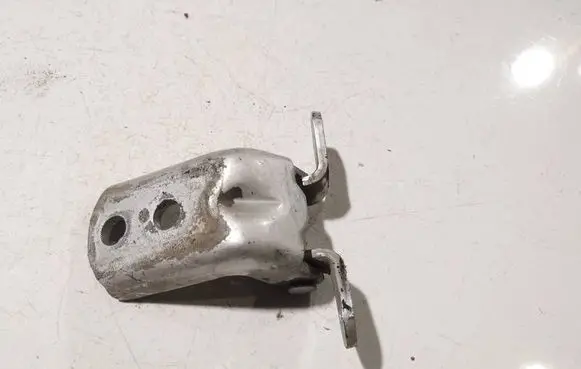 Nissan Qashqai Rear door lower hinge