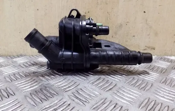 Thermostat/thermostat housing