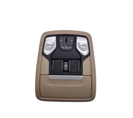 Ram 1500 Front seat light P6EJ891L1AF 6EJ891L1AF 2N1NL1193700596