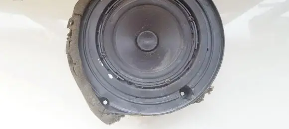 Front door speaker