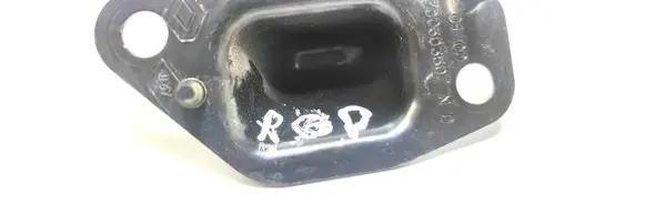 Renault Kangoo I Other rear door trim element 