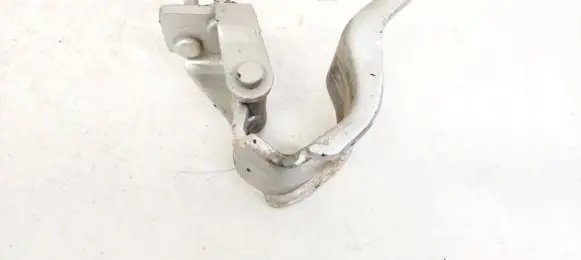 Volkswagen PASSAT B6 Tailgate/trunk/boot hinge 3C9827302C