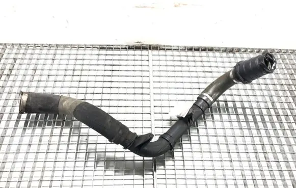 Renault Megane III Air intake hose/pipe 1073746S01