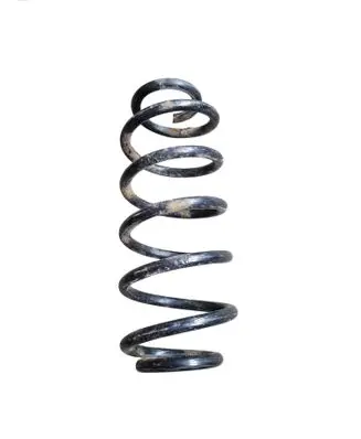 Rear coil spring
