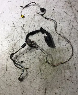 Front door wiring loom