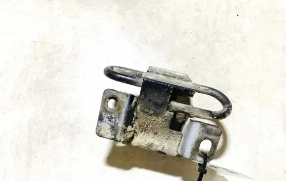 Rear door lower hinge
